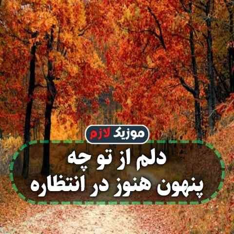 دانلود آهنگ دلم از تو چه پنهون هنوز در انتظاره دانلود آهنگ دلم از تو چه پنهون هنوز در انتظاره